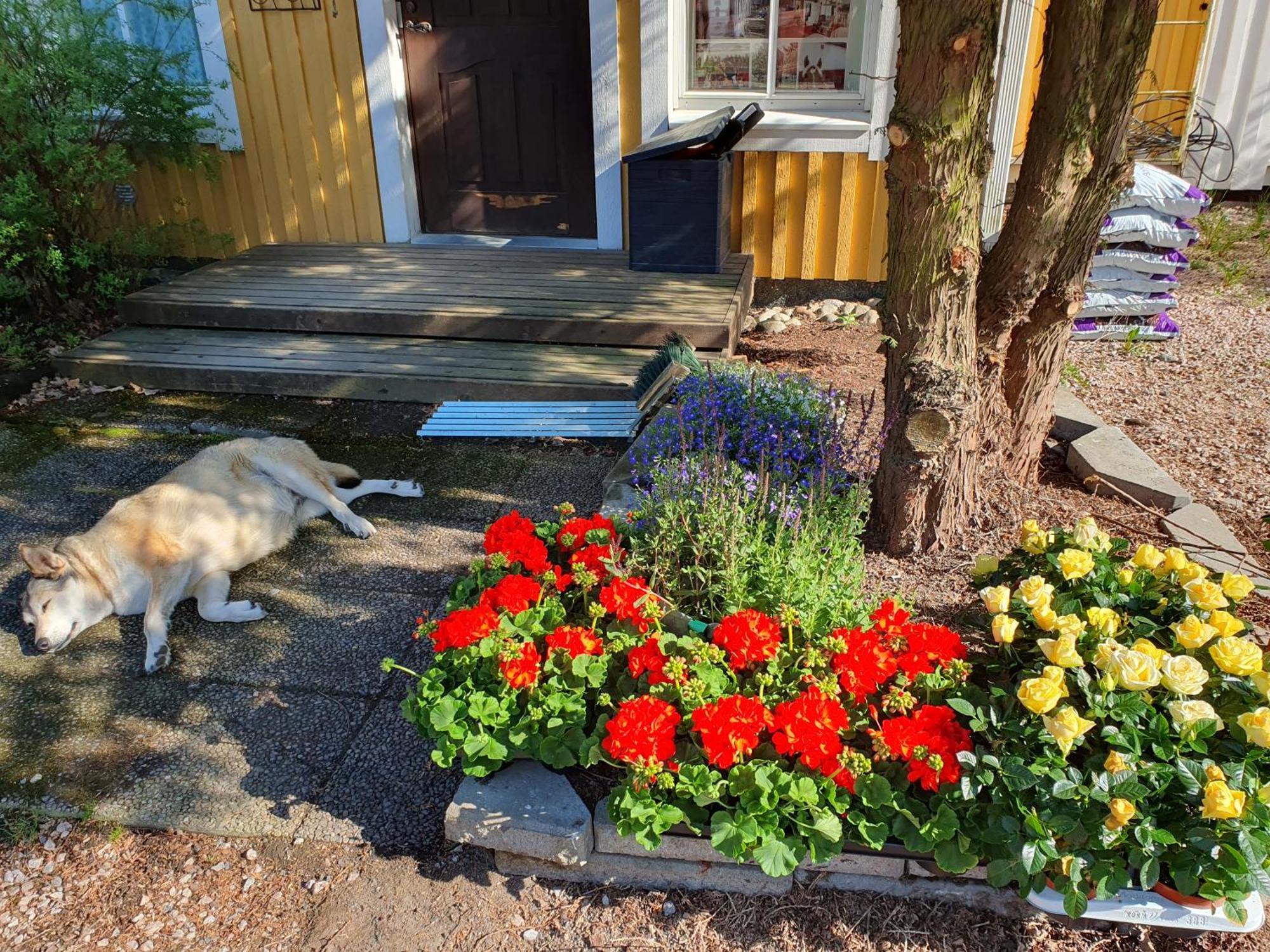 Siirilaen Tila Guest House Seinajoki Bagian luar foto